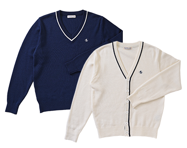 オプションアイテムの写真1